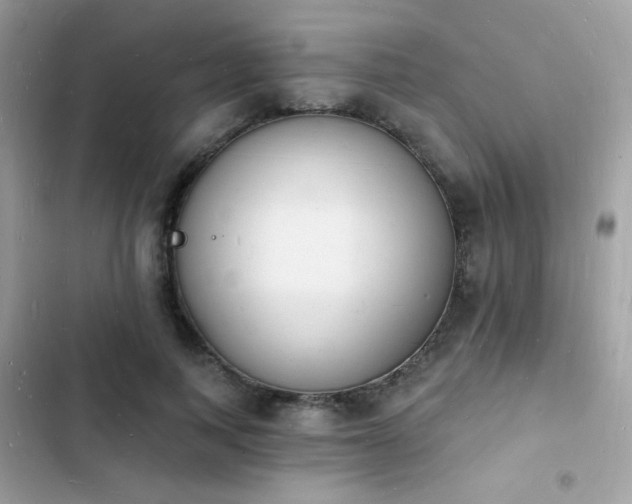 X0000103970743200809191534