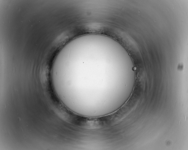 X0000103970744200809191534