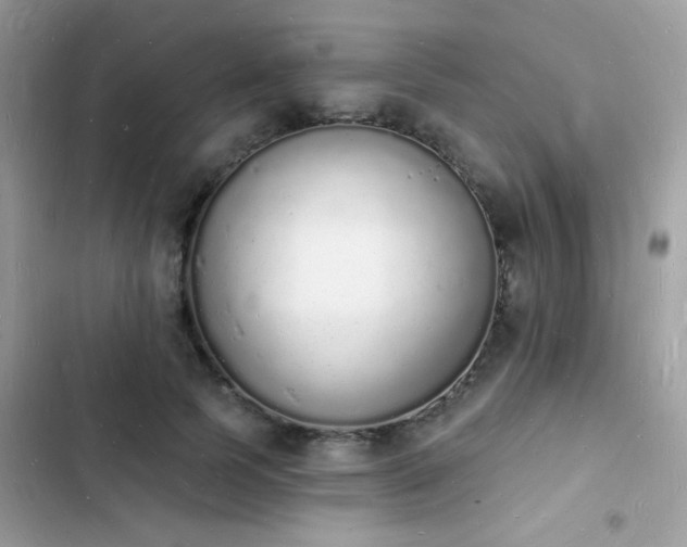 X0000103970745200809191534