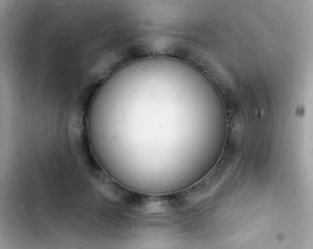 X0000103970746200809191534