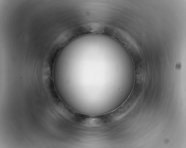 X0000103970748200809191534