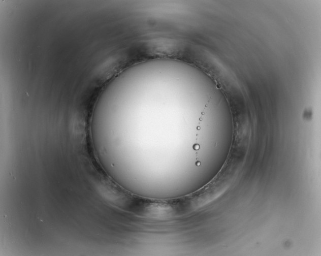 X0000103970749200809191534