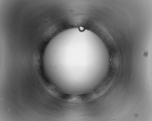 X0000103970750200809191534