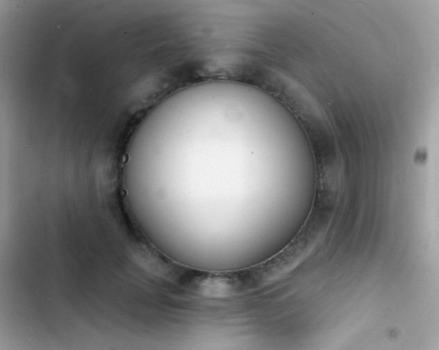 X0000103970751200809191534