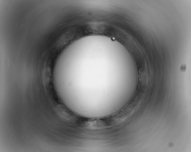 X0000103970752200809191534