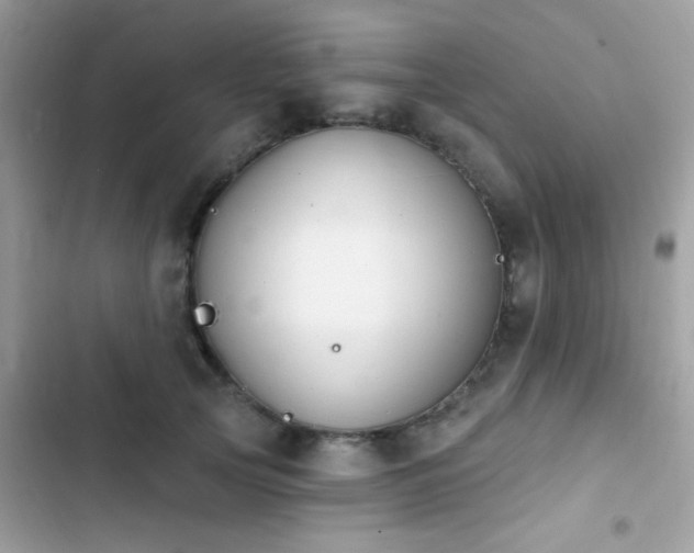 X0000103970753200809191534