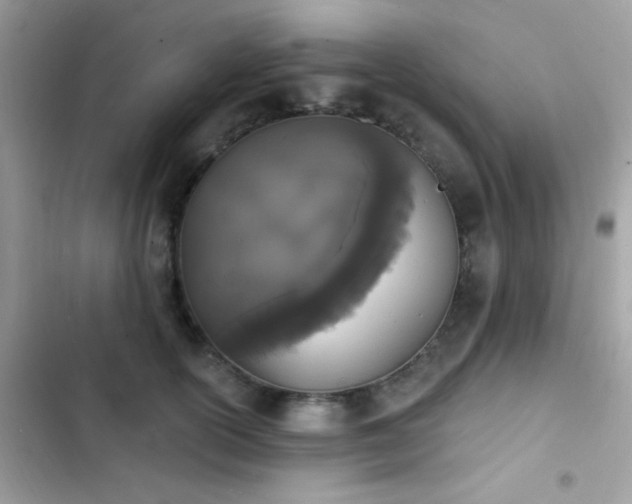 X0000103970754200809191534