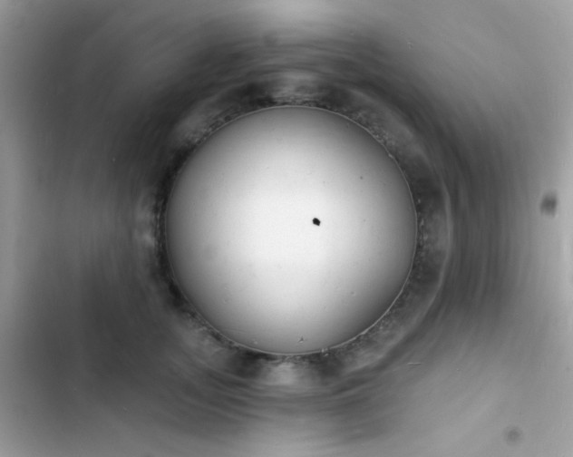 X0000103970755200809191534