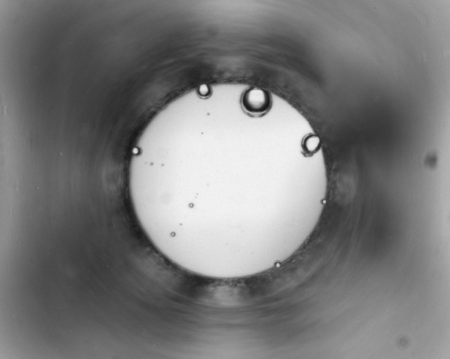 X0000103970756200809191534