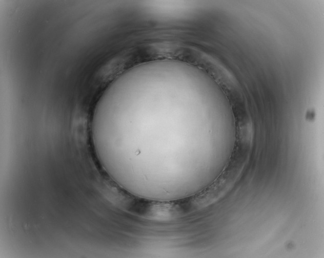 X0000103970757200809191534