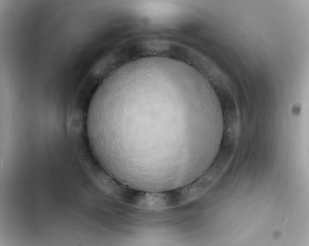 X0000103970758200809191534