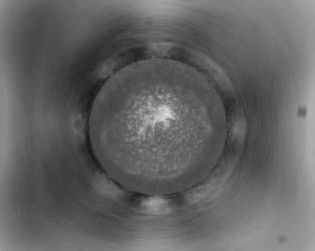 X0000103970759200809191534