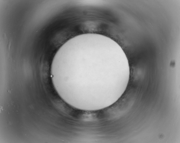 X0000103970760200809191534