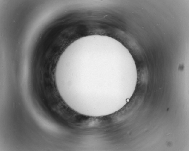 X0000103970764200809191534