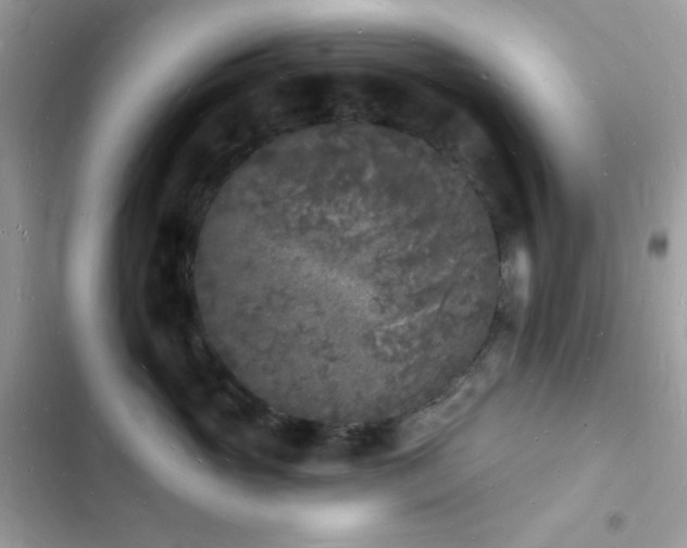 X0000103970765200809191534