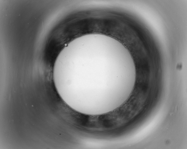 X0000103970766200809191534