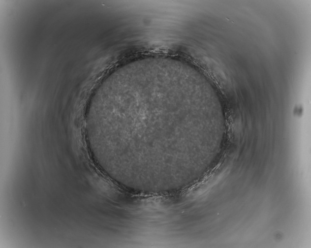 X0000103970769200809191533