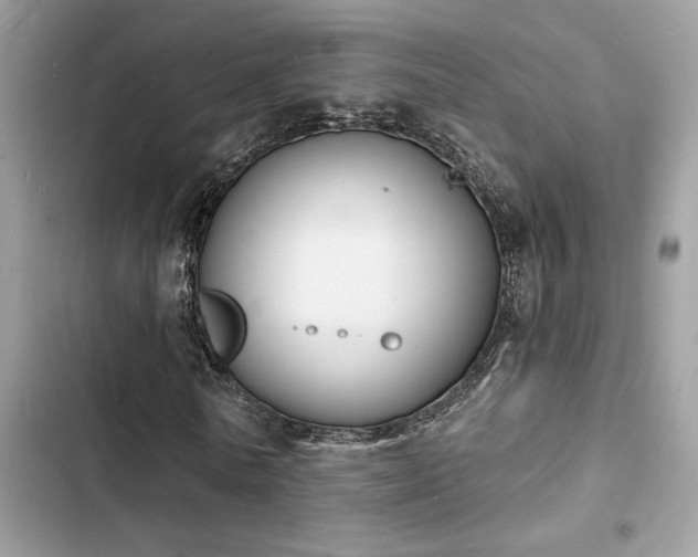 X0000103970770200809191533