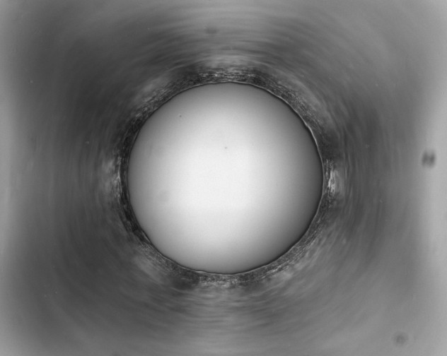 X0000103970771200809191533