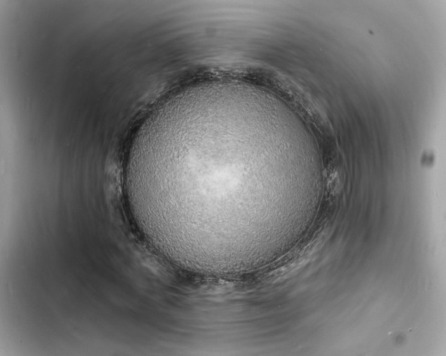 X0000103970772200809191533