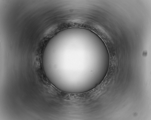 X0000103970774200809191533