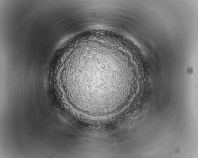 X0000103970775200809191533