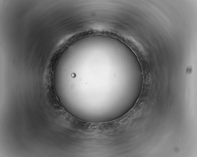 X0000103970776200809191533