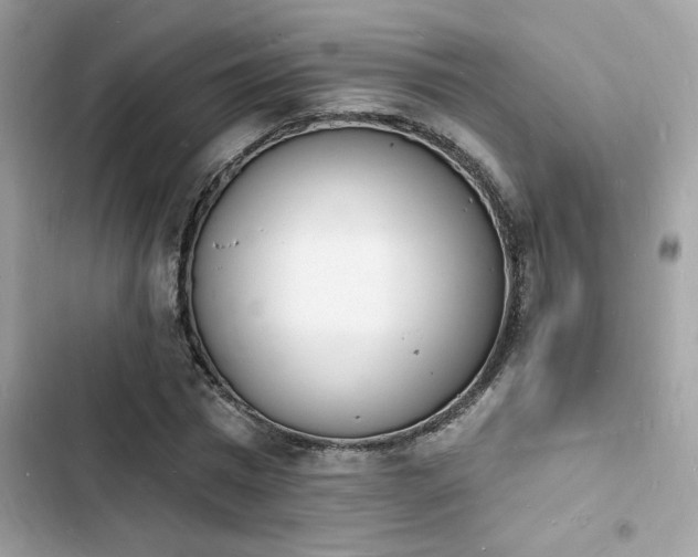 X0000103970777200809191533