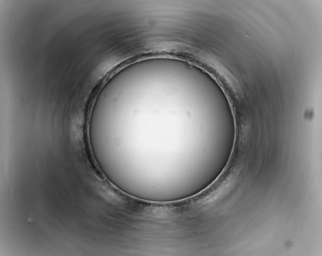 X0000103970778200809191533