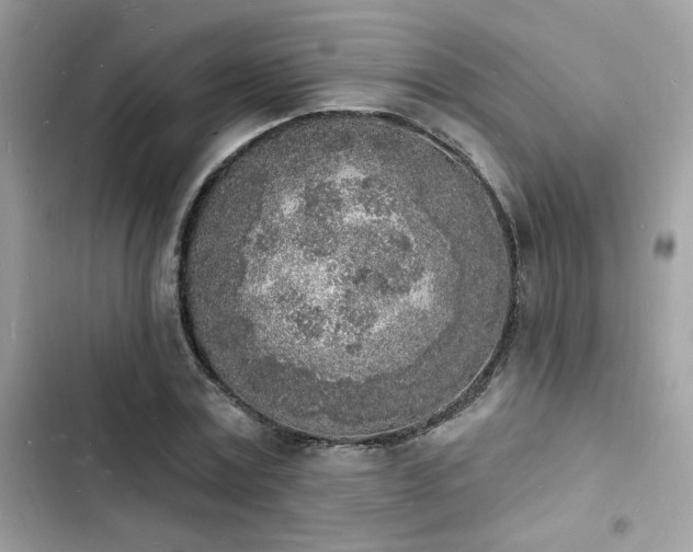 X0000103970779200809191533