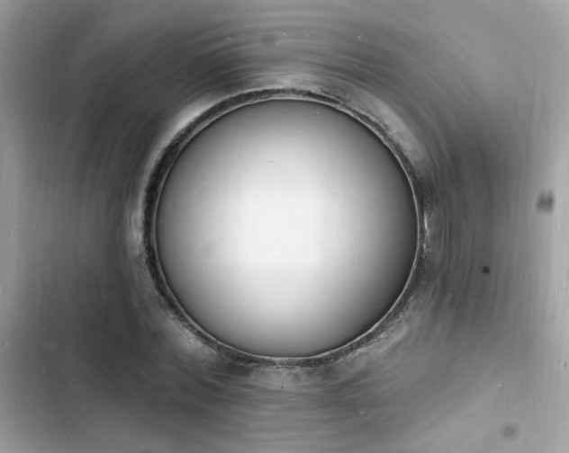 X0000103970780200809191533