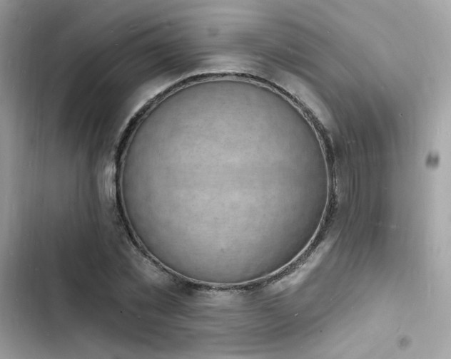 X0000103970781200809191533