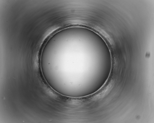 X0000103970782200809191533