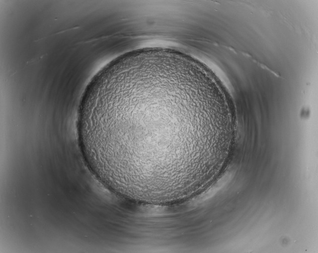 X0000103970783200809191533