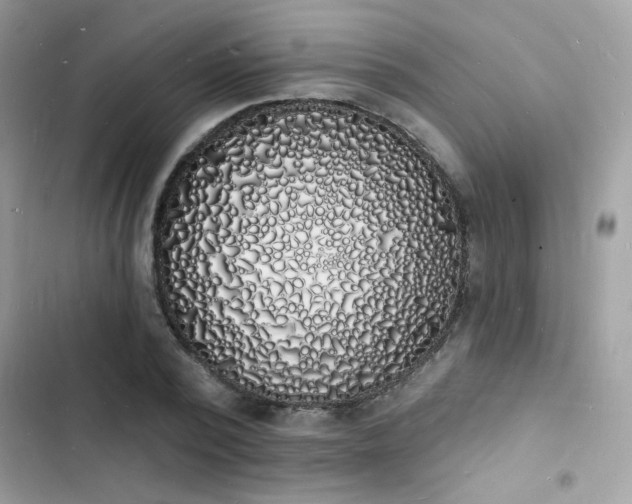 X0000103970784200809191533