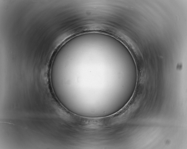 X0000103970786200809191533