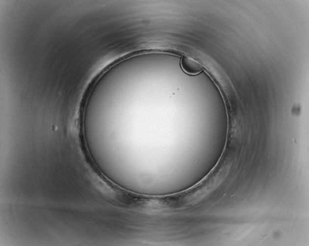 X0000103970787200809191533