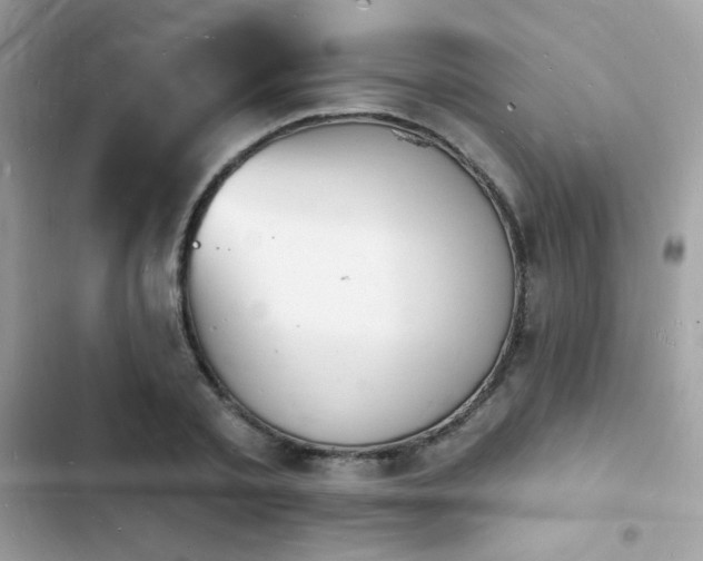 X0000103970789200809191533