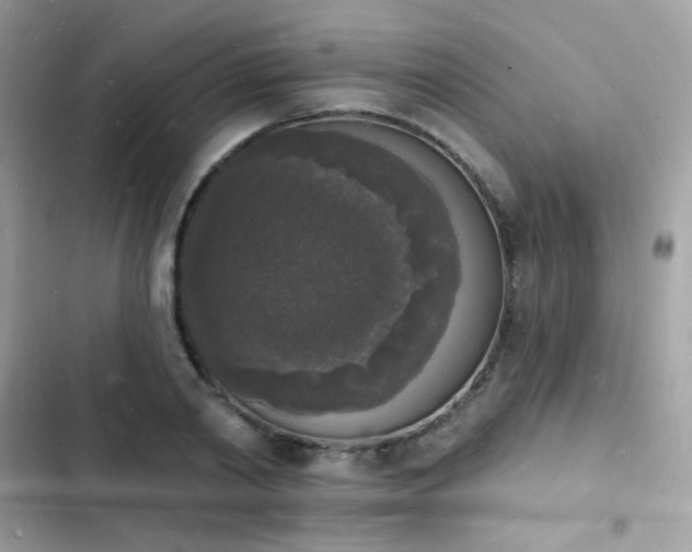 X0000103970790200809191533