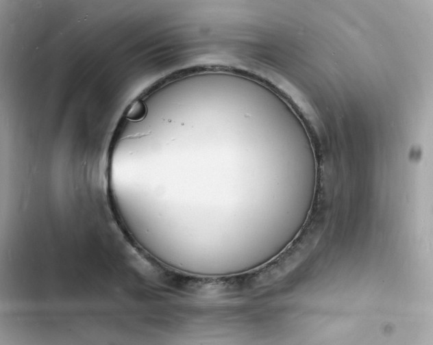 X0000103970791200809191533