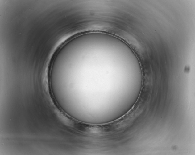 X0000103970792200809191533