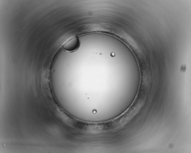 X0000103970793200809191533