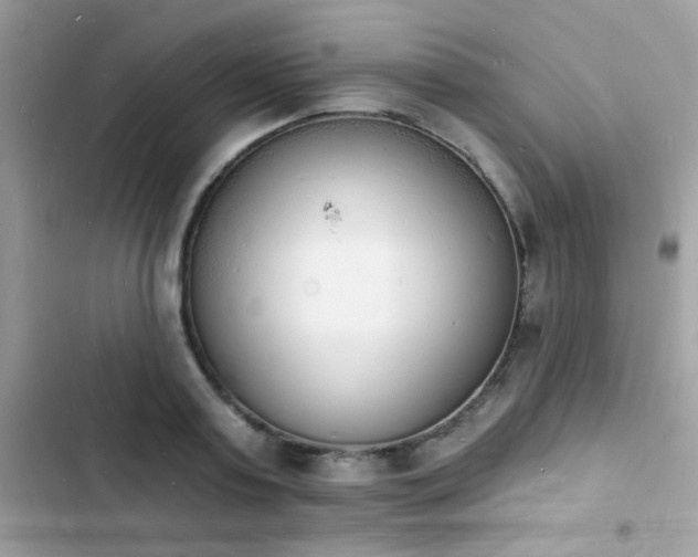 X0000103970795200809191533