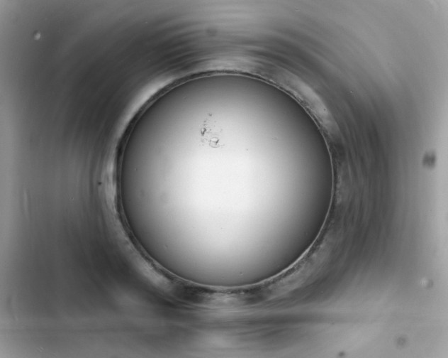 X0000103970796200809191533