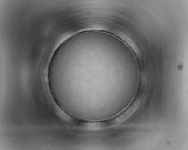 X0000103970797200809191533