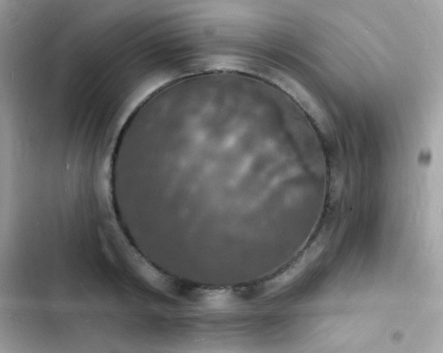 X0000103970798200809191533