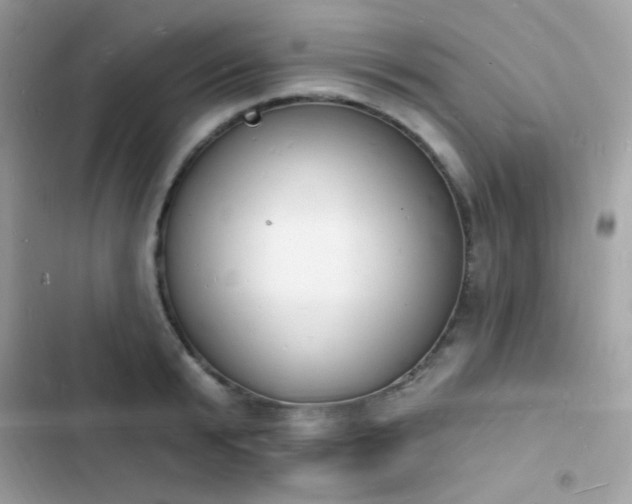 X0000103970799200809191533