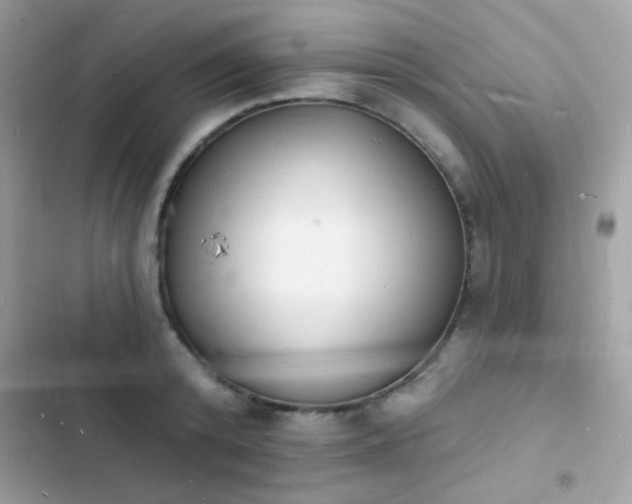 X0000103970800200809191533