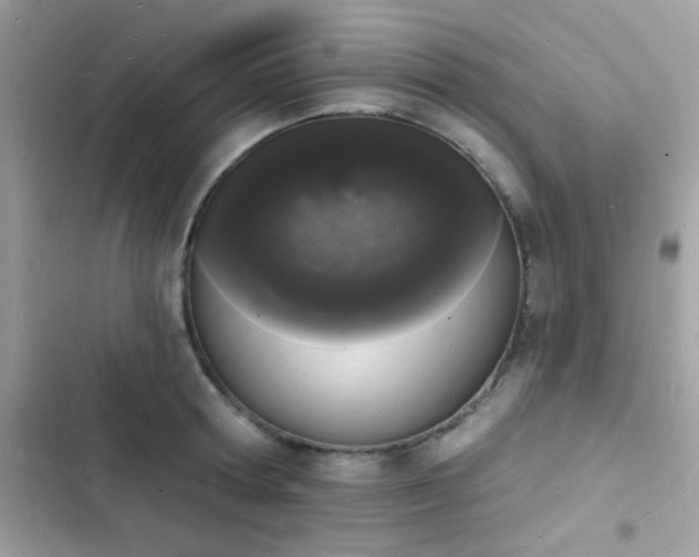 X0000103970802200809191533