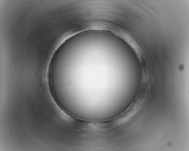 X0000103970803200809191533